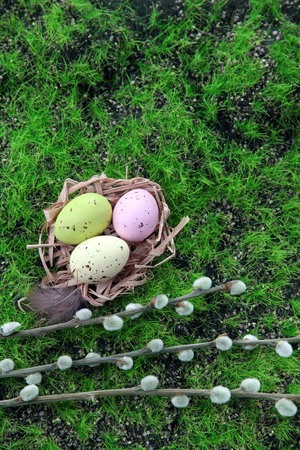 Easter eggs in nest on green grass background