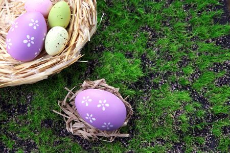 Easter eggs in nest on green grass の写真素材