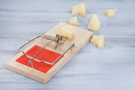 Mousetrap with cheese on wooden の写真素材
