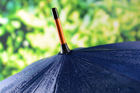 Blue Umbrella on bright backgroundの写真素材