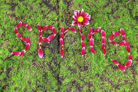 Romantic spring letters made of pink petals, on grass backgroundの写真素材