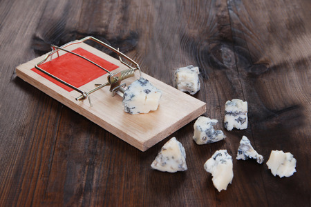 Mousetrap with cheese on wooden backgroundの写真素材