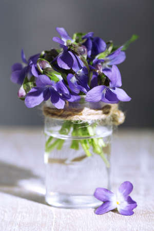 Violets flowers on grey backgroundの写真素材