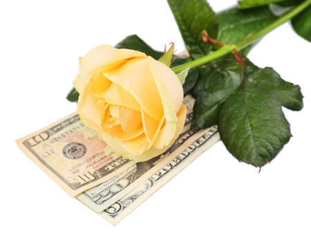 Beautiful rose and money, isolated on whiteの写真素材