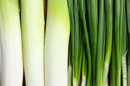 Green onion, close up