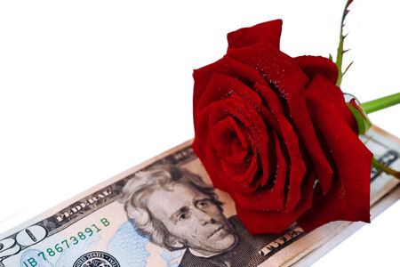 Beautiful rose and money, isolated on whiteの写真素材