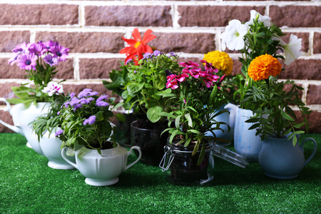 Flowers in  decorative pots on green grass, on bricks backgroundの写真素材
