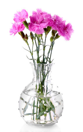 Beautiful summer flowers in vase, isolated on whiteの写真素材
