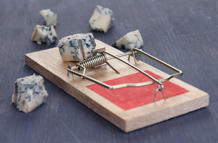 Mousetrap with cheese on wooden backgroundの写真素材