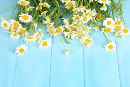 Chamomiles on color wooden backgroundの写真素材