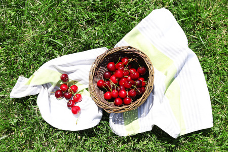 Sweet ripe cherries in wicker basket, on green grass backgroundの写真素材