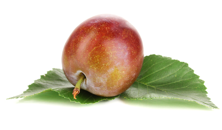 Rip plum isolated on whiteの写真素材