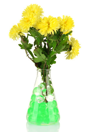 Beautiful flowers in vase with hydrogel isolated on whiteの写真素材