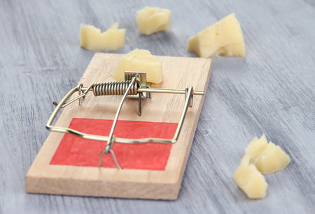 Mousetrap with cheese on wooden background