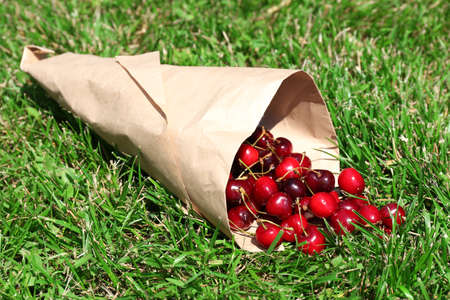 Sweet ripe cherries in paper cone, on green grass backgroundの写真素材