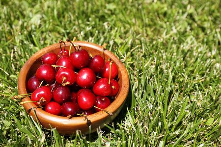 Sweet ripe cherries in wooden bowl, on green grass backgroundの写真素材