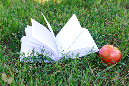 Open book in grass outdoorsの写真素材