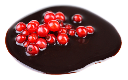 Berries  in chocolate sauce isolated on whiteの写真素材