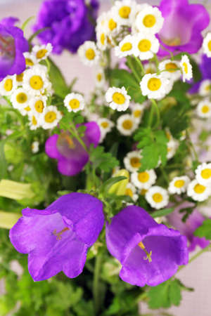 Beautiful wild flowers close upの写真素材