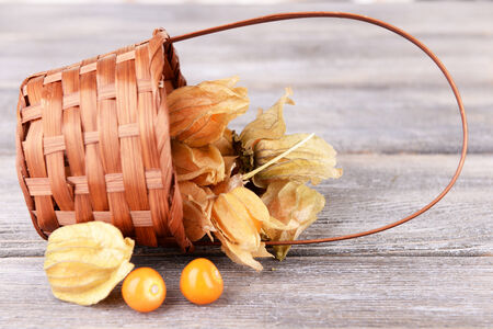 Physalis fruits in wicker basket, on wooden backgroundの写真素材