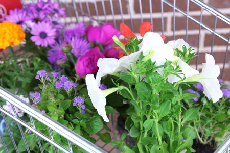 Flowers in decorative pots in shopping cart on bricks backgroundの写真素材
