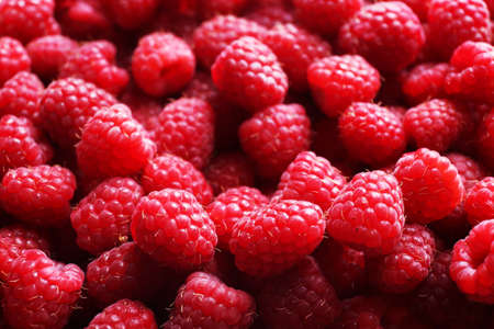 Ripe sweet raspberries close-up