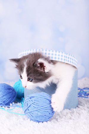 Cute little kitten in box playing with thread ball on blue carpet, on light backgroundの写真素材