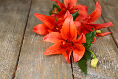 Beautiful lily on wooden backgroundの写真素材