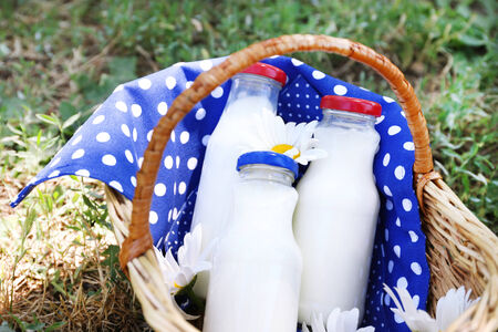 Tasty snack in basket on grassy background for spending nice weekend in a park
