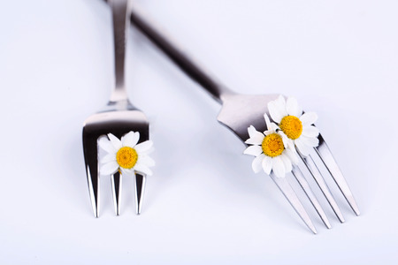 Forks with daisy flower, isolated on white