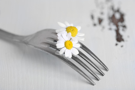 Fork with daisy flower, on wooden background の写真素材