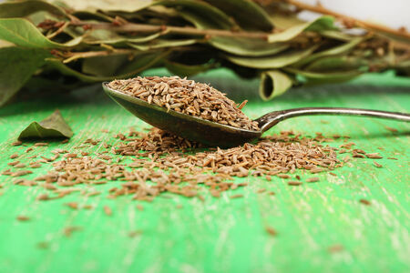 Bay leaves and seeds on green wooden background