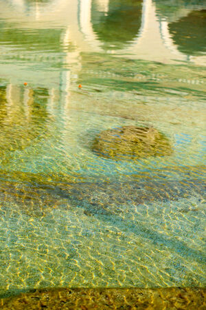 Water reflection 