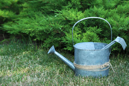 Garden tools on green grass backgroundの写真素材