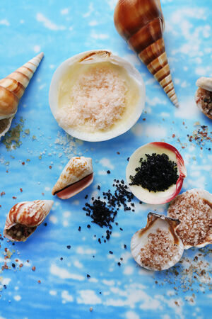 Different sea salt and shells, close upの写真素材