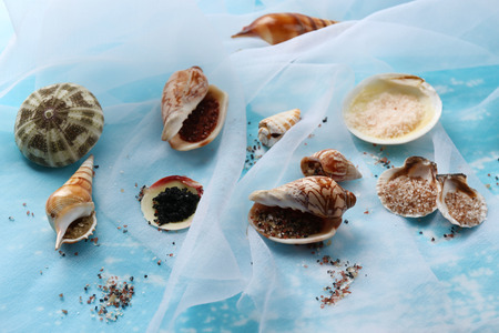 Different sea salt and shells, close upの写真素材