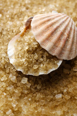 Sea salt and seashell,  close upの写真素材