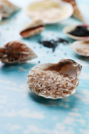 Different sea salt and shells, close upの写真素材