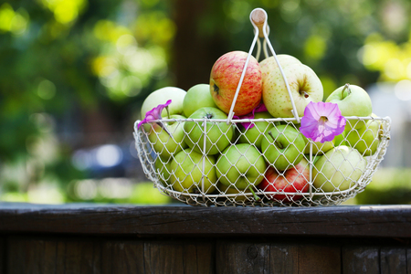 Ripe apples in basket outdoorsの写真素材