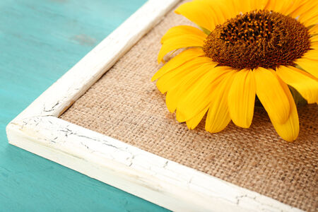 Beautiful sunflower on frame on wooden backgroundの写真素材
