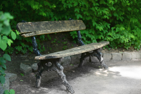 Wooden bench at parkの写真素材