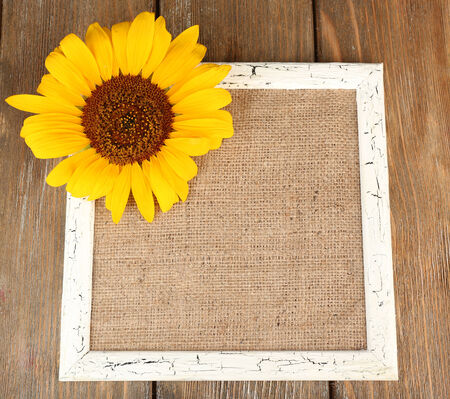 Beautiful sunflower on frame on wooden backgroundの写真素材