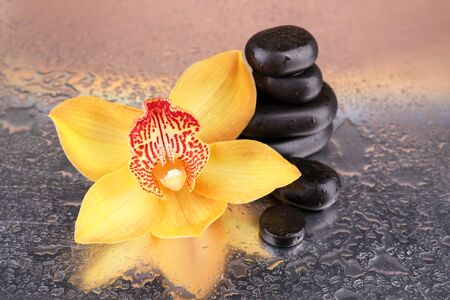 Yellow tropical orchid flower and spa stones on bright backgroundの写真素材