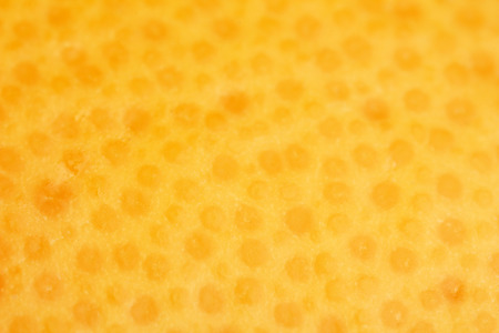 Grapefruit close-upの写真素材