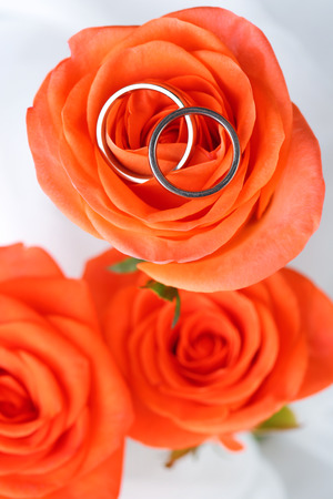 Wedding rings on wedding bouquet, close-up, on light backgroundの写真素材