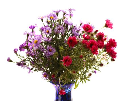 Still life of beautiful flowers in vaseの写真素材