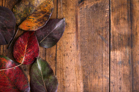 Leaves on brown wooden background