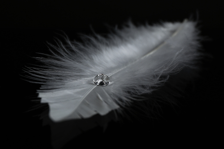 Beautiful feather with water drop on black backgroundの写真素材