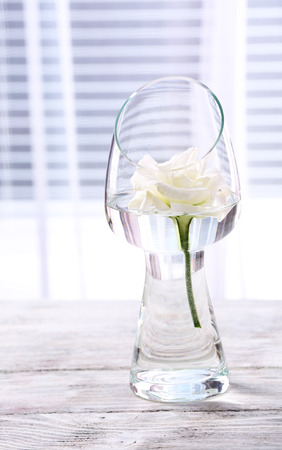 Beautiful white flower in vase with light from windowの写真素材