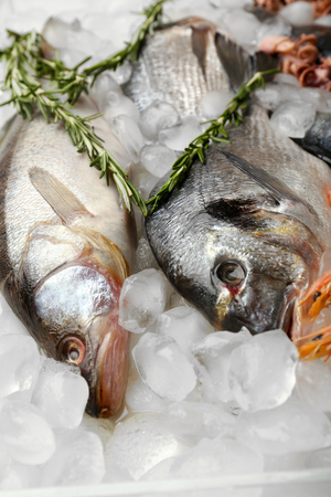 Fresh fish and other seafood on iceの写真素材